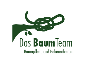 Baumteam-pfalz.de – Baumpflege und Höhenarbeiten